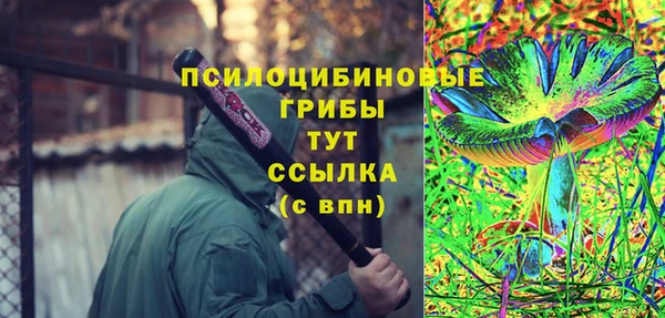 прущие грибы Арсеньев