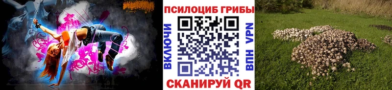 как найти закладки  Пестово  Галлюциногенные грибы GOLDEN TEACHER 